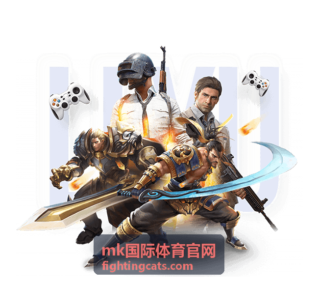 mk国际体育官网 流水查询与账单核对示意